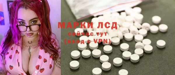 прущие грибы Богородицк